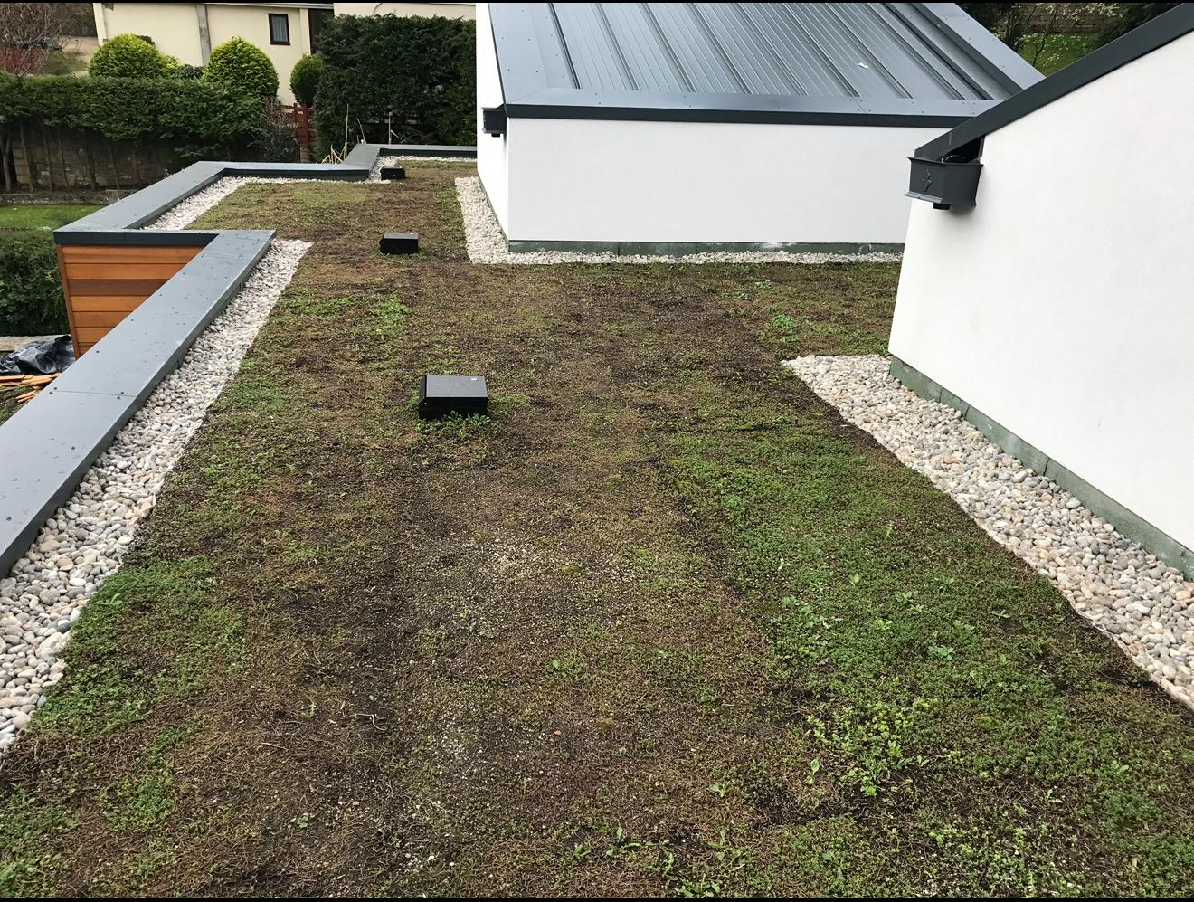 Project image 1